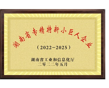 湖南省专精特新小巨人企业