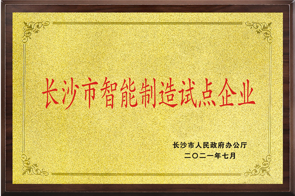 长沙市智能制造试点企业